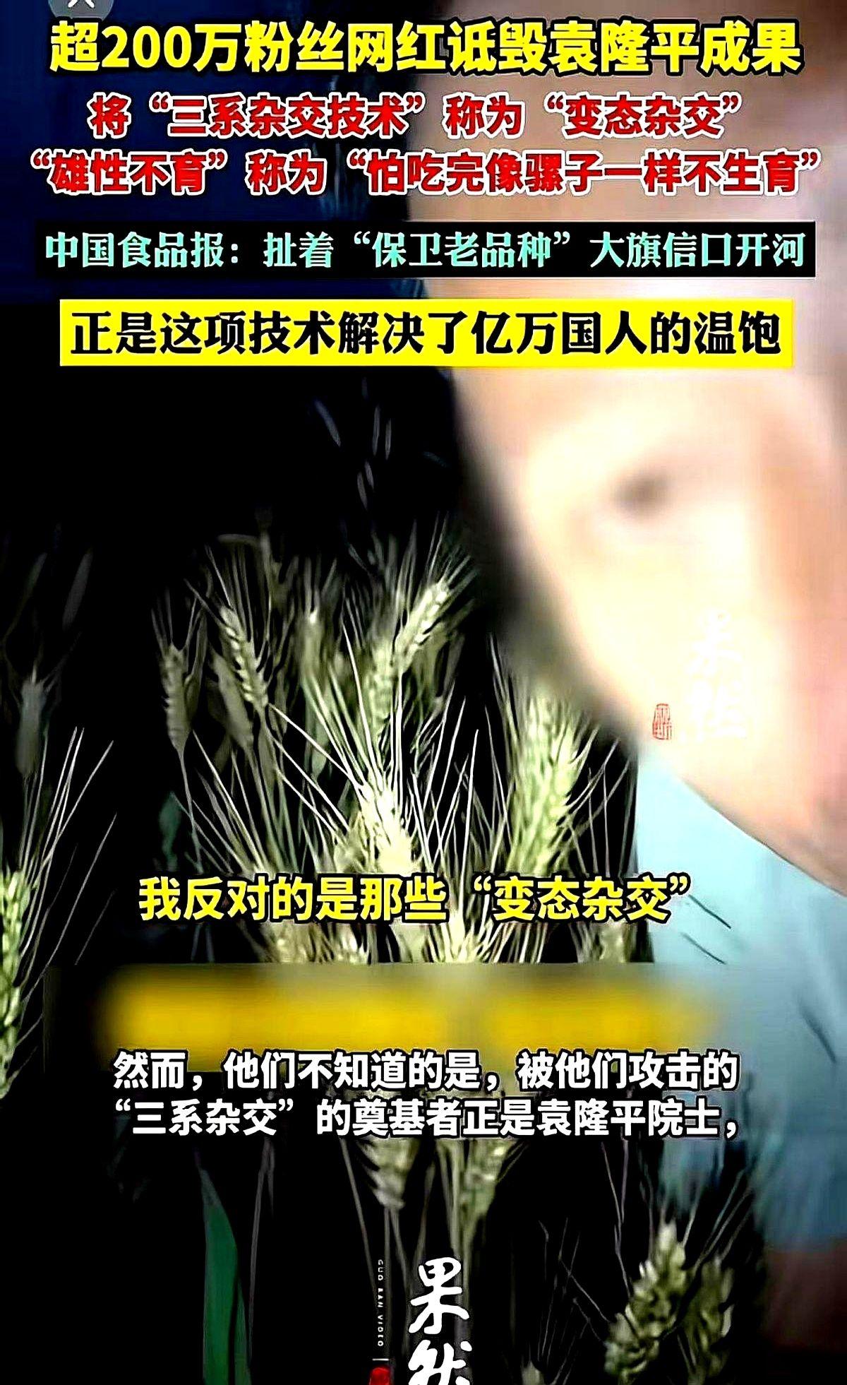 一个坐拥200万粉丝的网红，对着镜头开播了。
他对着镜头把杂交水稻说成是“变态”