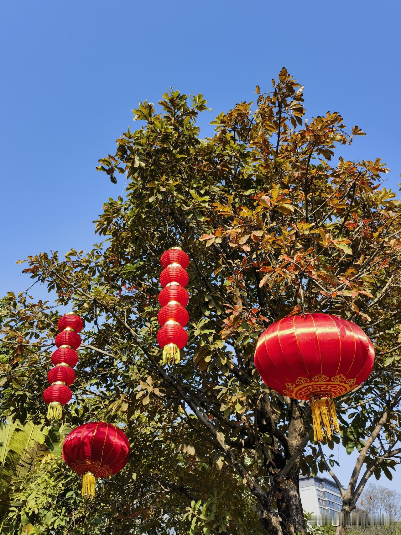 新年都要说吉祥话，
但想说点不一样的吉祥话不容易。

身体健康，万事如意，心想事