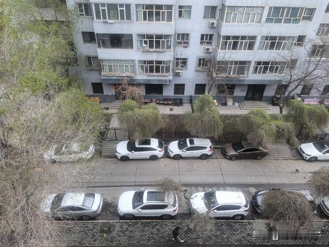 早起被晃醒！六点四十八分，床一阵摇晃，又是熟悉的地震体感😮‍💨
今年春天乌鲁