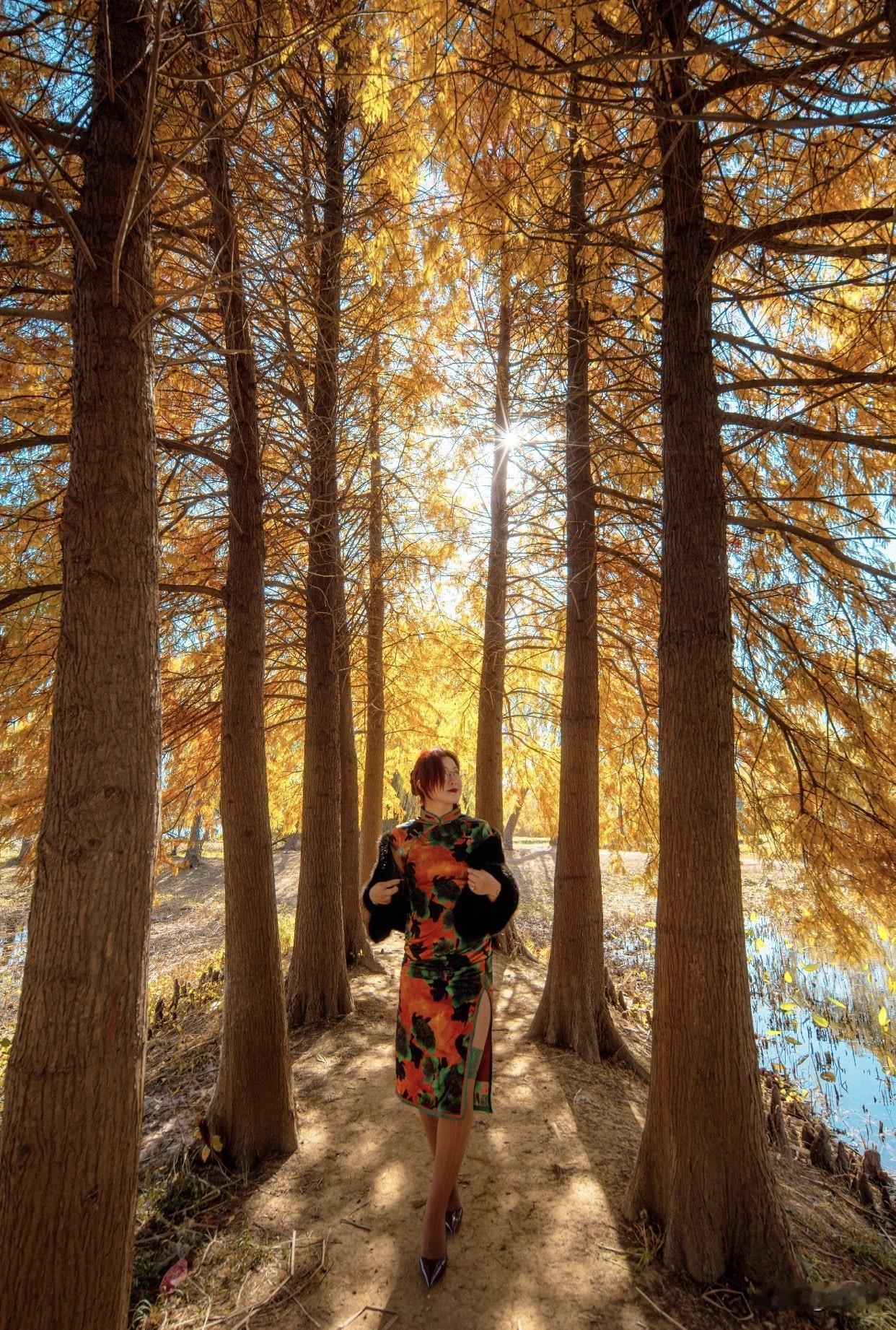 分享你镜头下的美好瞬间秋日森林中的时尚穿搭，享受自然与美的融合。