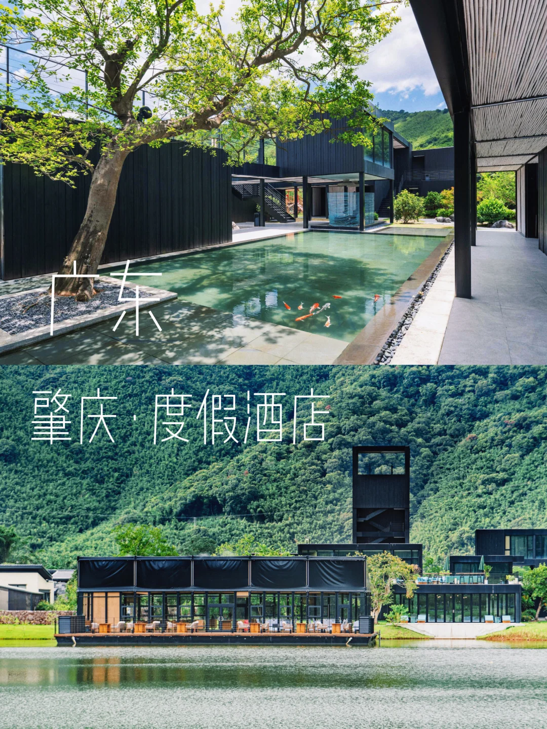 肇庆！一墅一院一池！遛娃度假选这真的可以