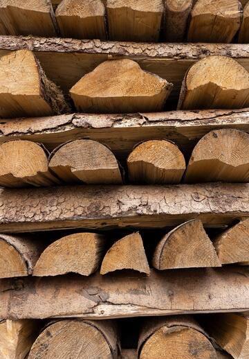 冬泳人的热身，是从劈柴开始的

刚到冬泳场地，就瞅见炉子旁边空空的，没柴了！
