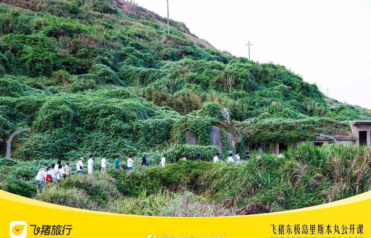 前阵子刷到东极岛当地渔民后代毫不犹豫跳入怒海救人，看到这个新闻心里直发热，感觉世