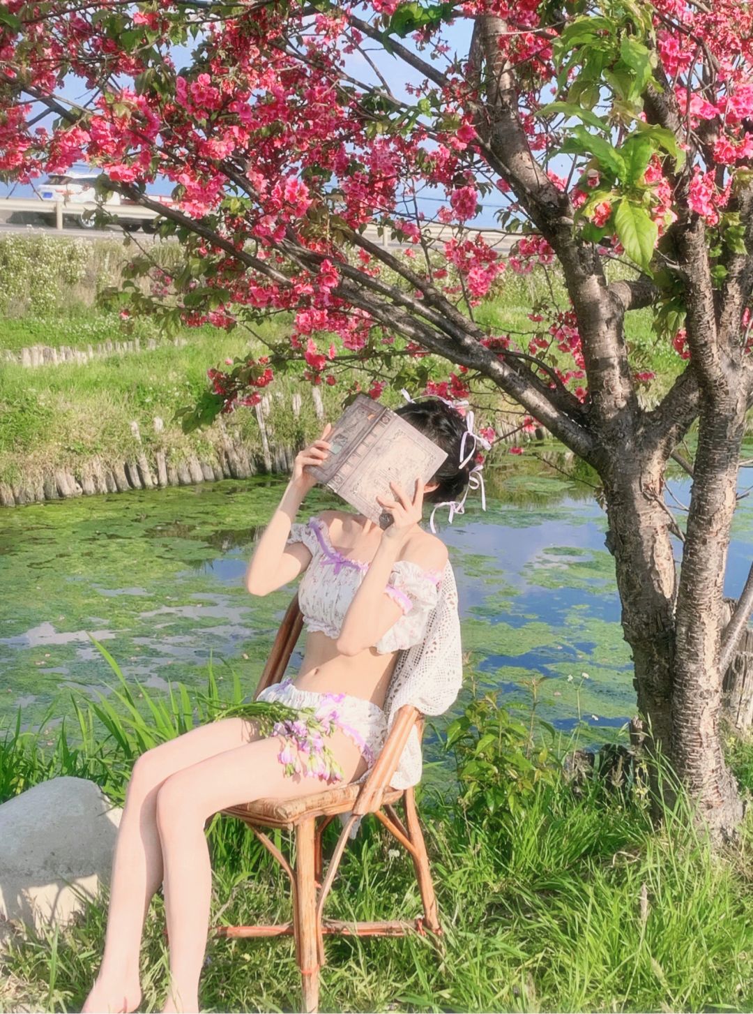 人为什么喜欢反季节