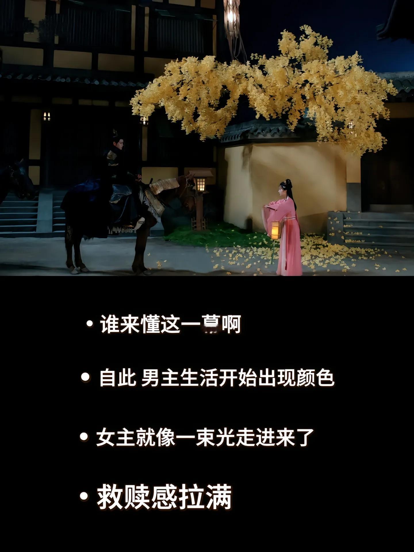 突然被这个截图戳到了，长乐曲镜头语言有点东西。一边是黑夜下黑袍加身，另一边是银杏