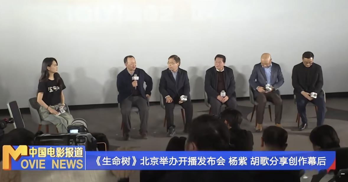 业内不是早就认可杨紫了 