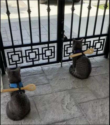 现代问题需要现代解决方式 