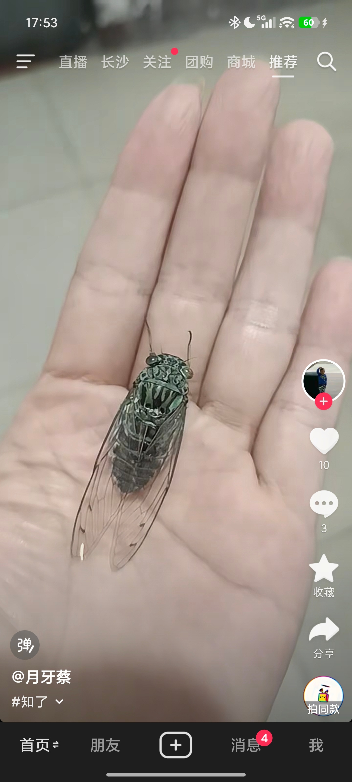 已经开始给我推些无厘头了…我是点赞还是不点赞？我是评论还是不评论？ 