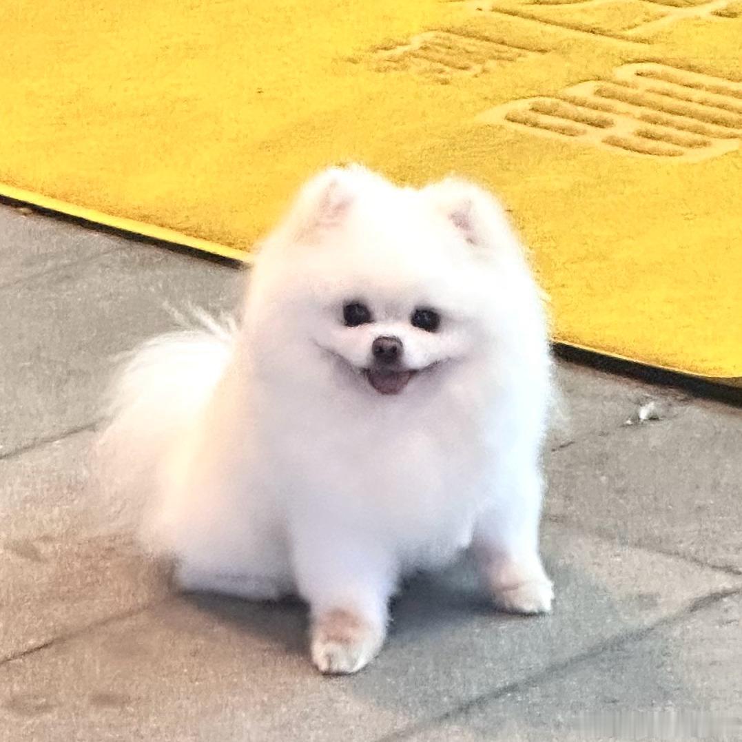 你那看什么都是审美积累的朋友belike： 