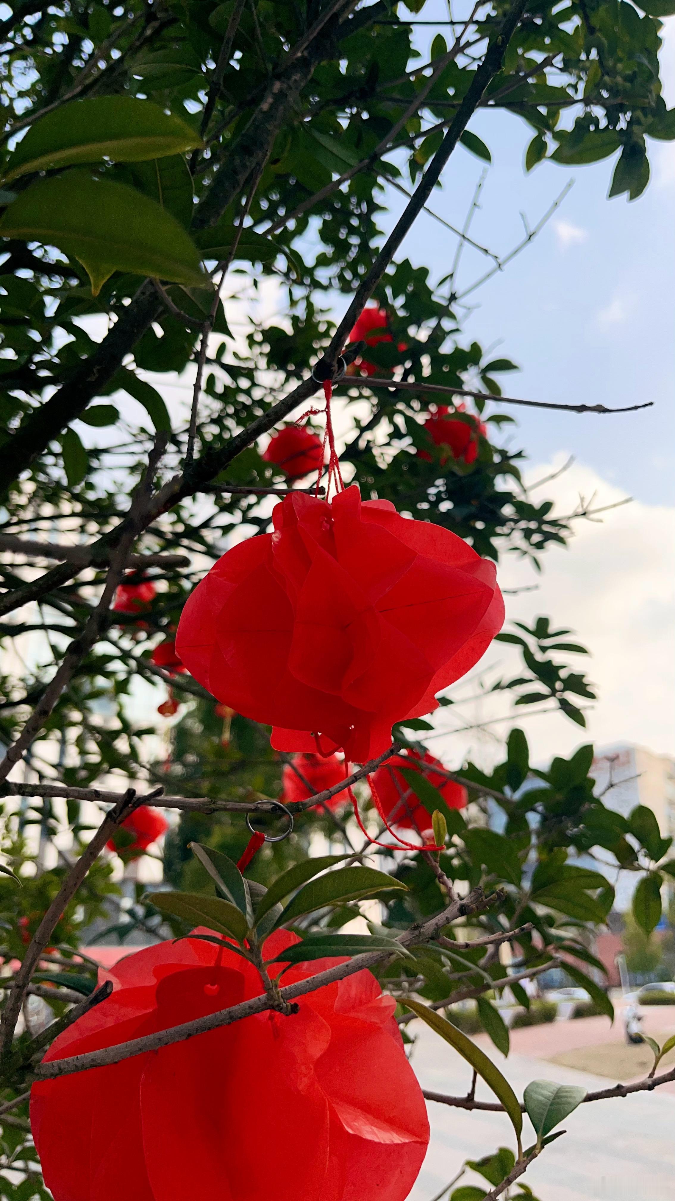 四川年味  成都年味 [太阳][笑哈哈][笑哈哈]街道上的年味渐浓，超市里的年货