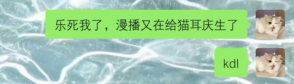 猫狐99 