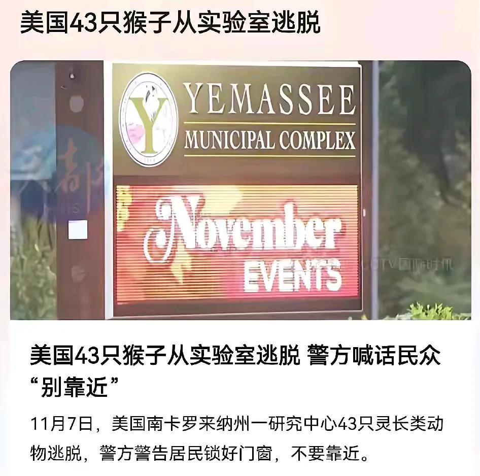 警戒！！美国43只猴子从实验室逃脱，这是又一轮释放“病毒”吗？
全世界的病毒🦠