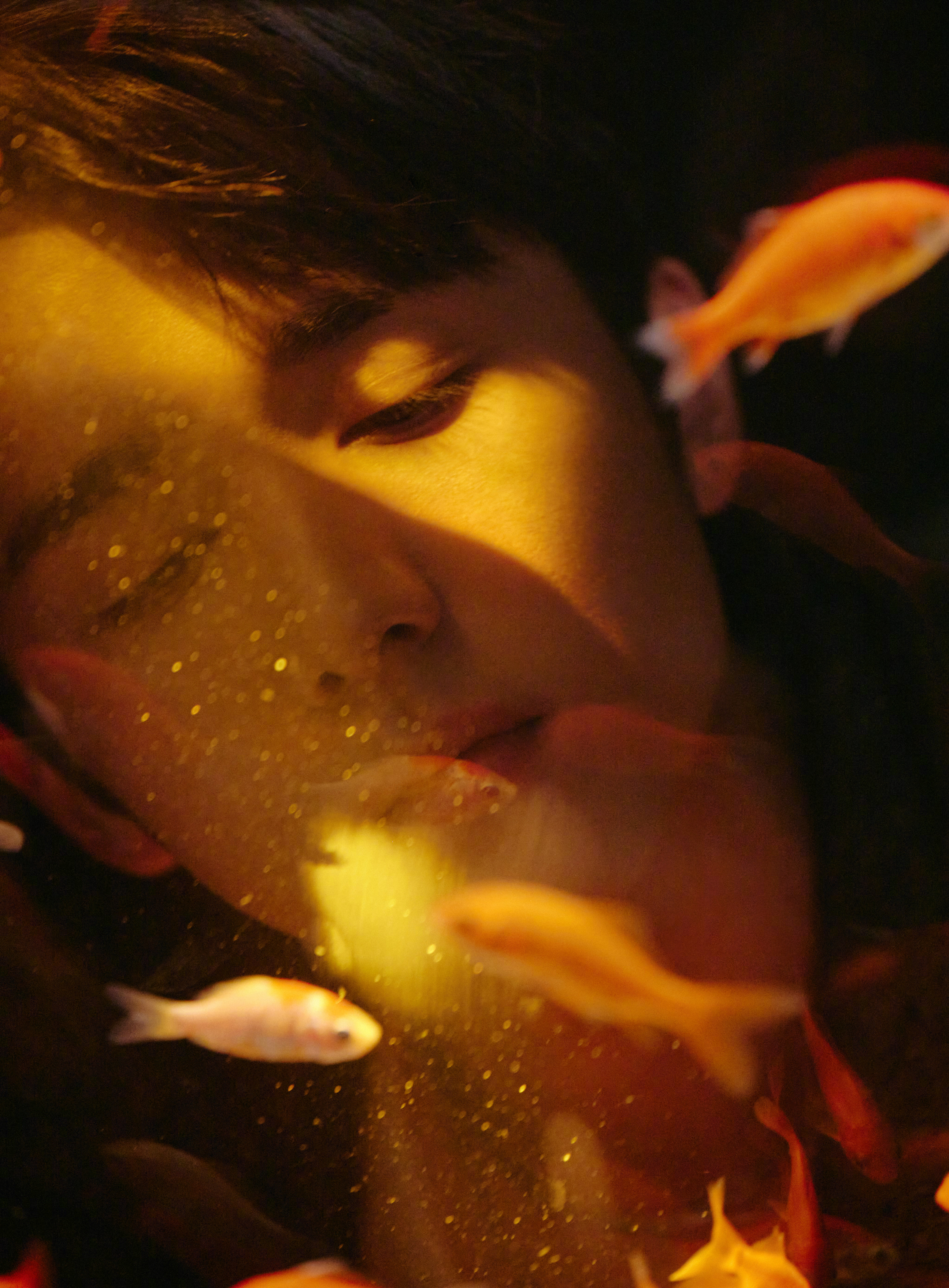 #张新成看金鱼都深情##张新成打卡鱼缸拍照#张新成与鱼同框，金鱼大片还是禁欲大片