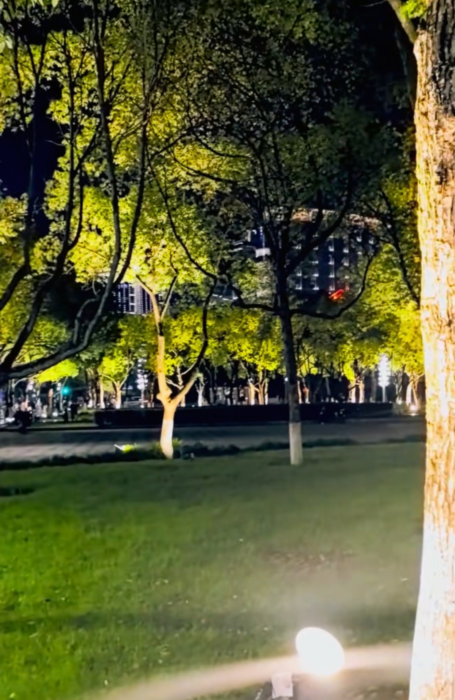 回家睡觉，晚安 