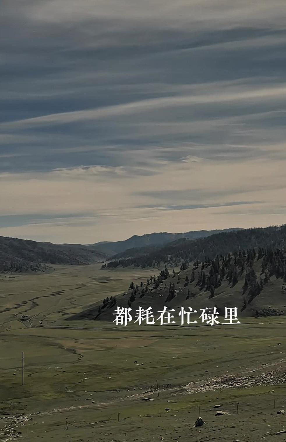 你怎么能够把一生耗在忙碌里？