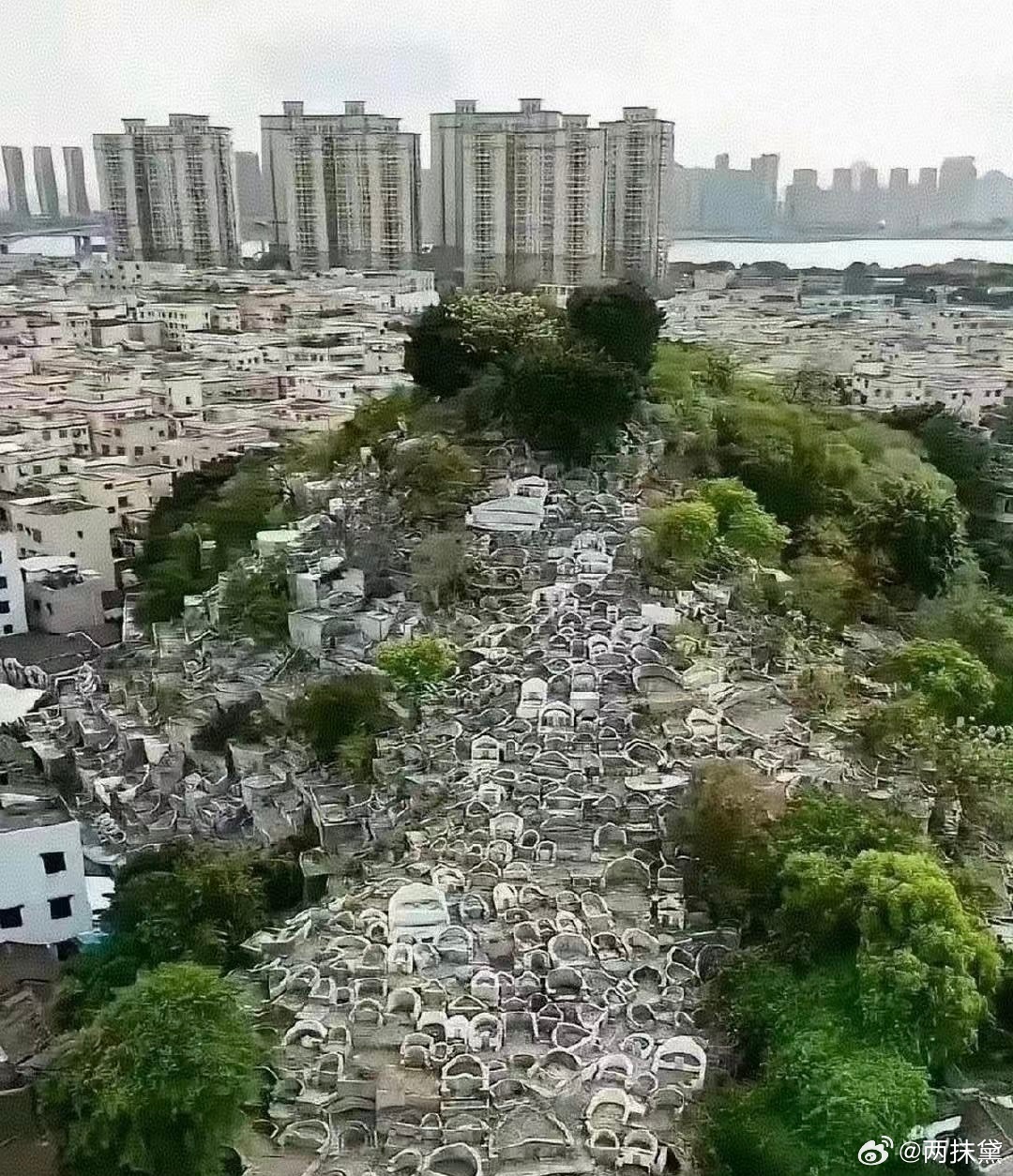 这就是多年后土葬的后果！！！ 