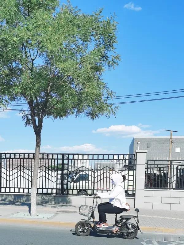 夏日生活打卡季 夏日生活打卡季
夏日啊，真是个让人又爱又恨的季节。就跟2026年