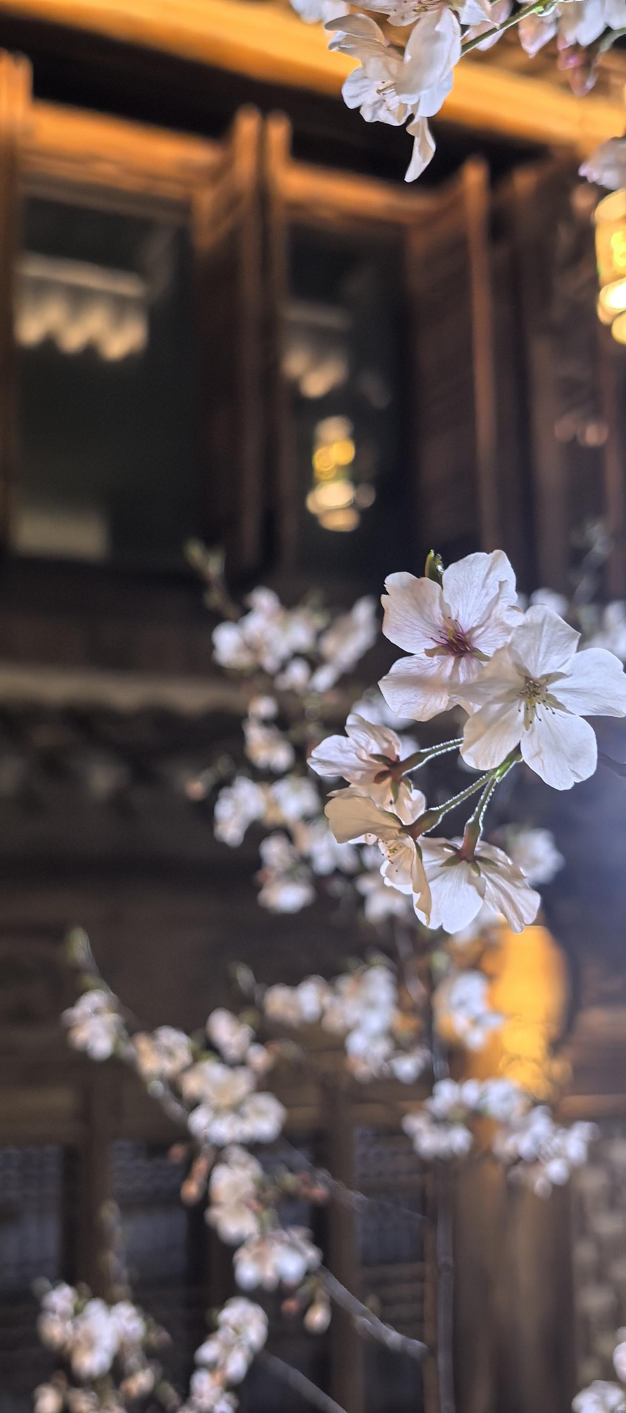 张雪峰为什么能受欢迎?
他讲真话。不掩饰。
他打脸很多吱吱呜呜顾左言他、装模作样