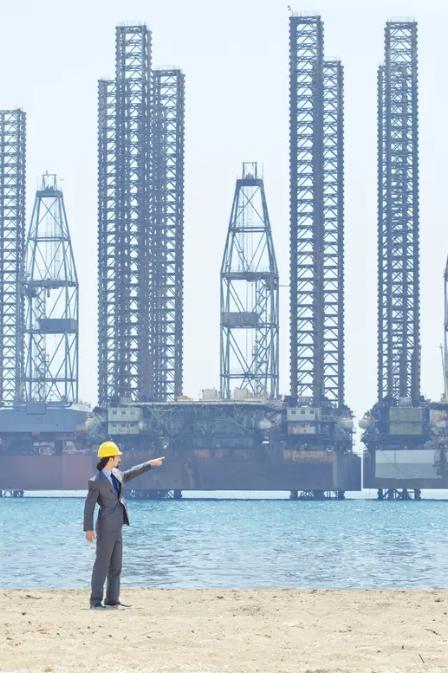 你见过哪个国家敢随便查苹果、罚谷歌、扣壳牌的船？没有。因为动了他们，第二天大使馆