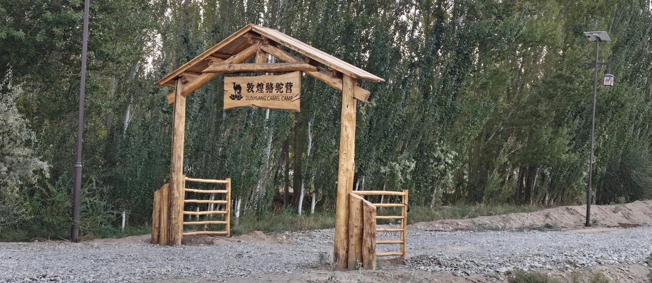 34岁谢老板在敦煌郊区搞了个骆驼营，专门给人玩骆驼，营里62岁老人专门拉游客去月