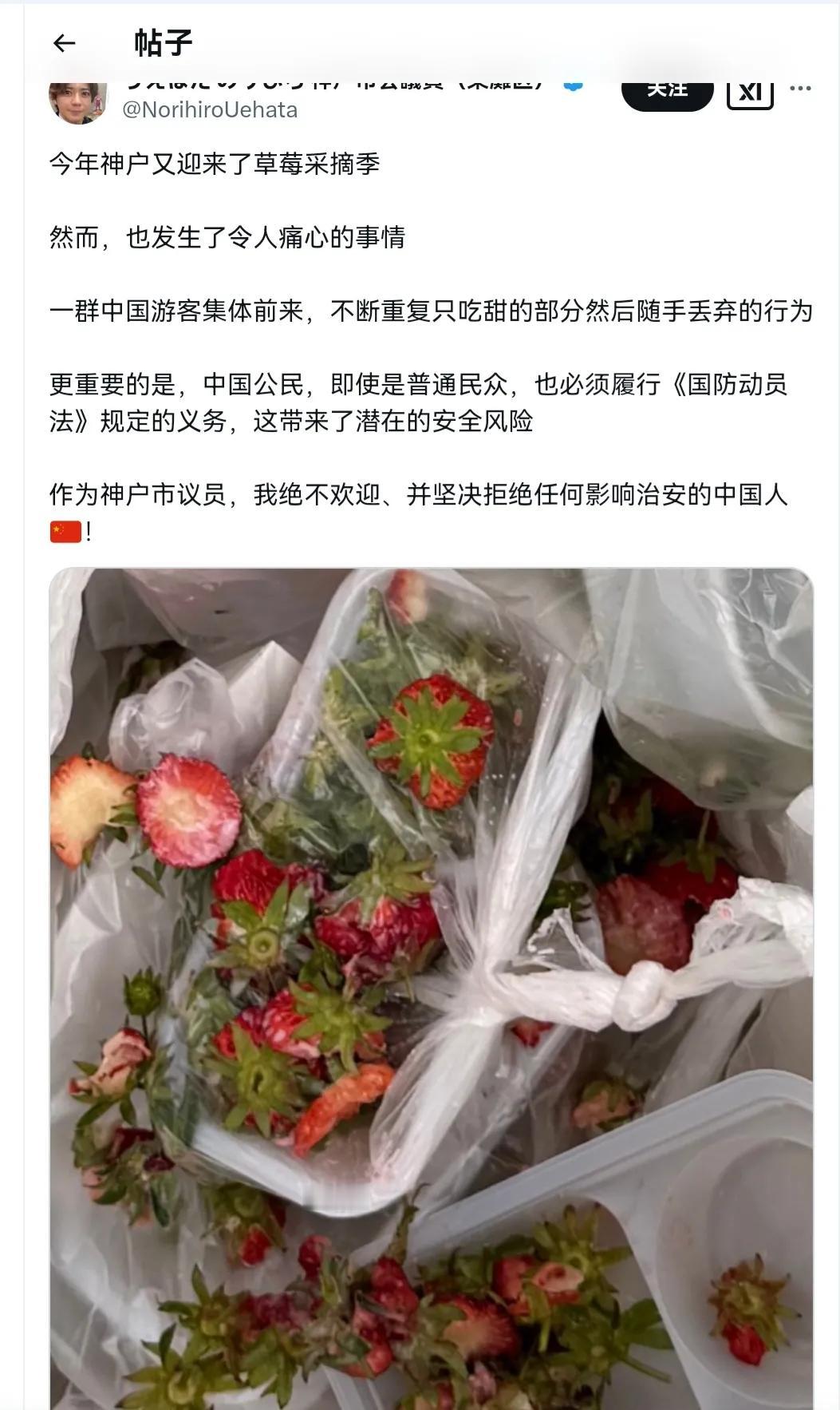 中国游客在国外只吃草莓尖尖，当地议员吐槽会带来潜在安全风险，影响治安。
他说这是