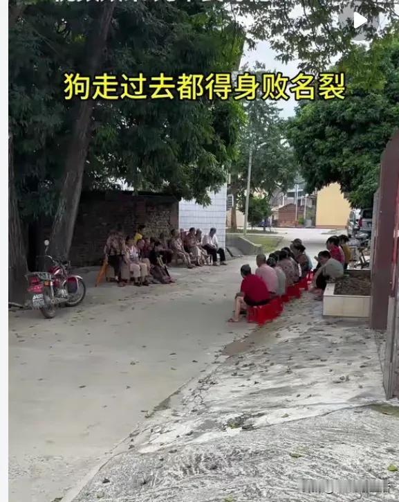 我终于发现
基本上每条村都有个情报局
无论风吹日晒
这些情报人员都会密切交流最新