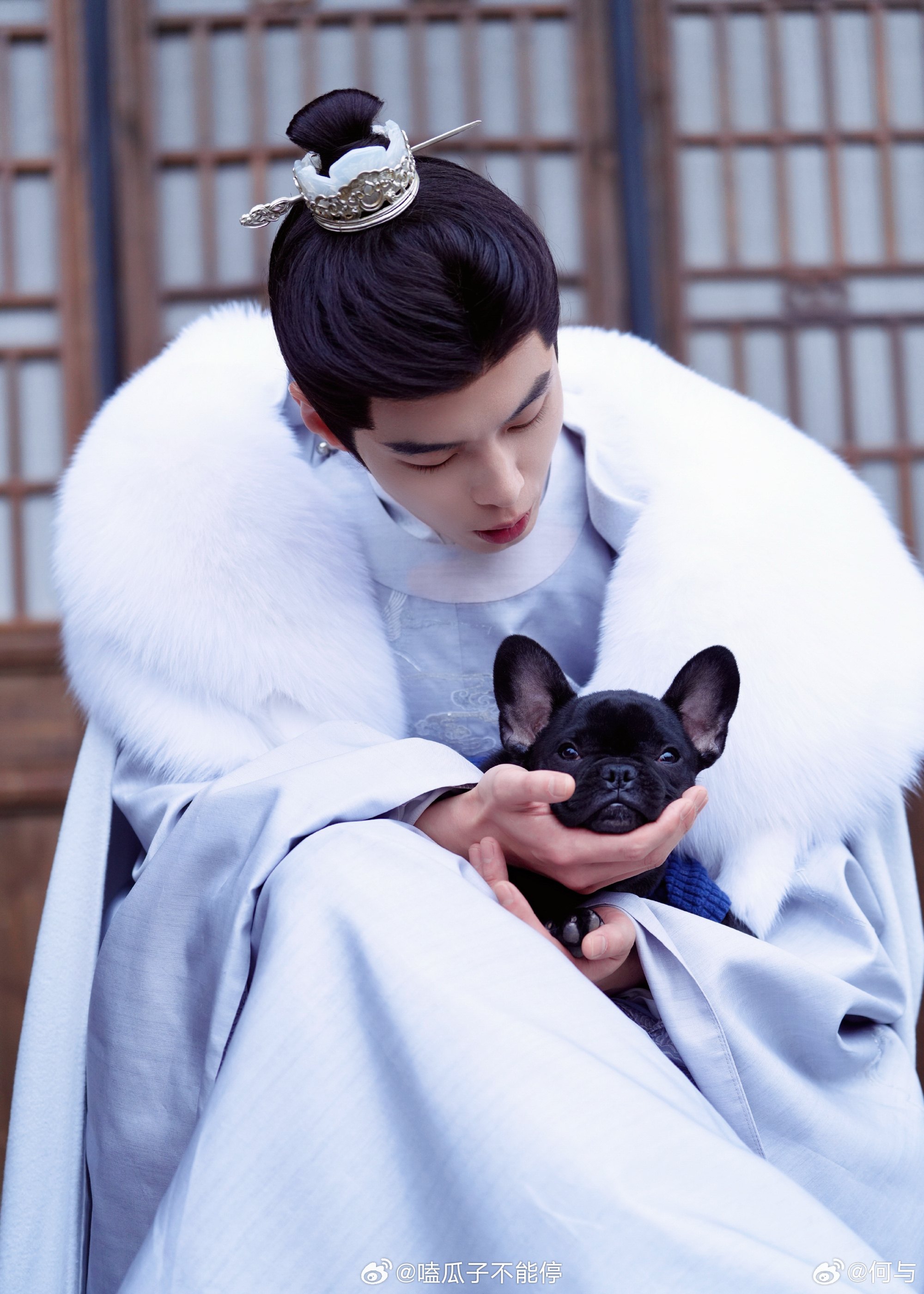 何与今日营业🈶帅哥和小狗，好萌