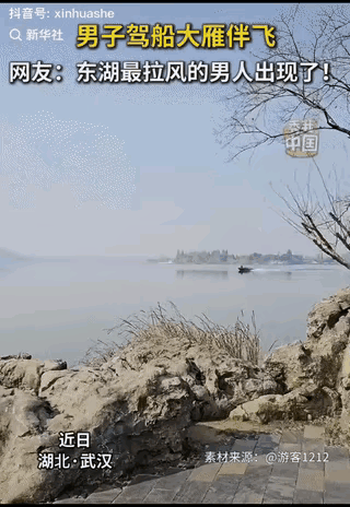 船在前面走，一群大雁围在船的周围飞，看起来特别的壮观，原来这些大雁是经过训练的，