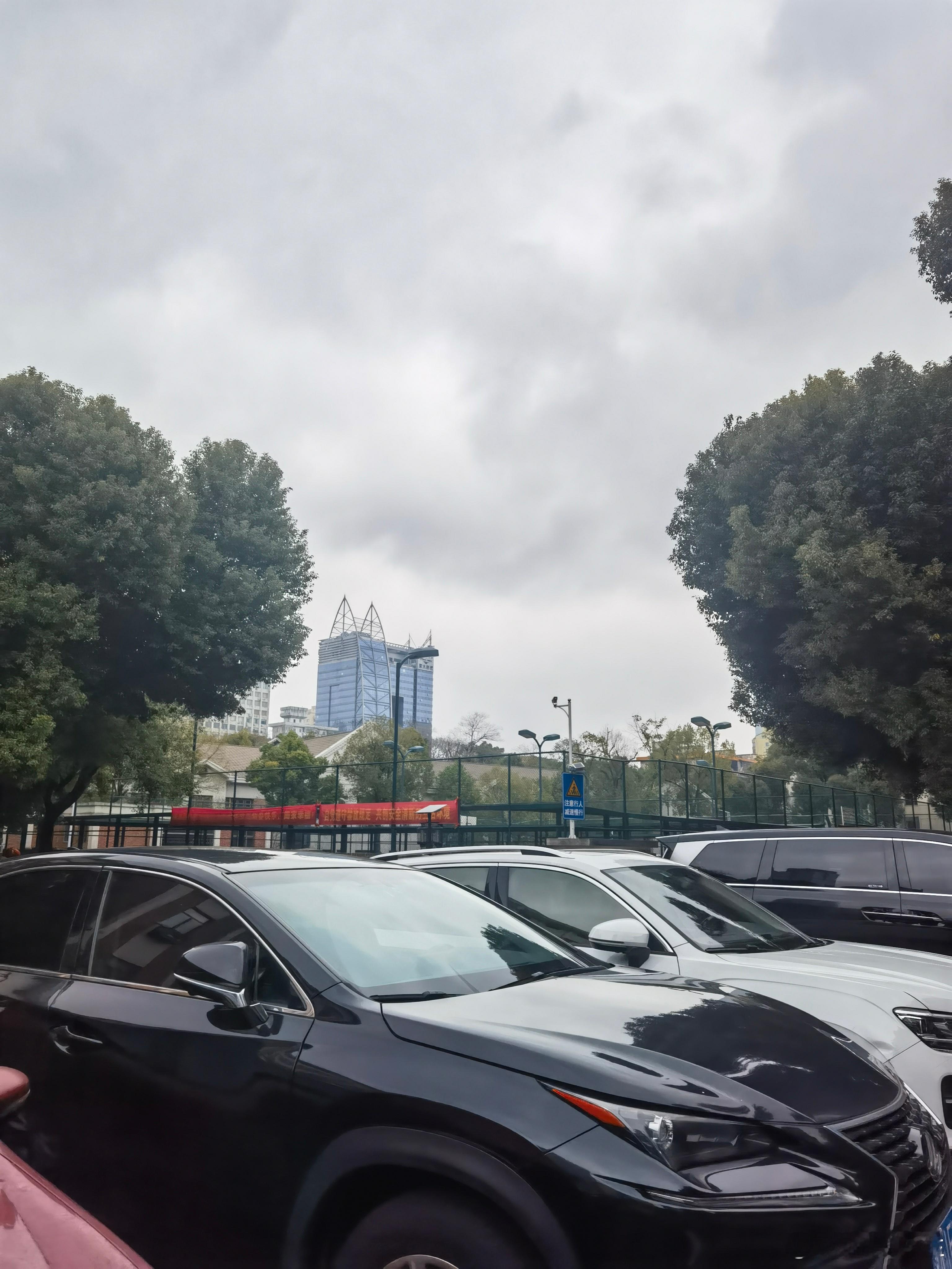 正月初八，晨光初透窗棂，薄雾如纱，庭前老梅尚余残雨。去岁暖冬，春讯早来，树芽初显