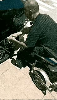 斑马线上停着一辆黑色轿车，一个老人坐在轮椅上，手里拿着一个小刀，用力地划着黑色轿
