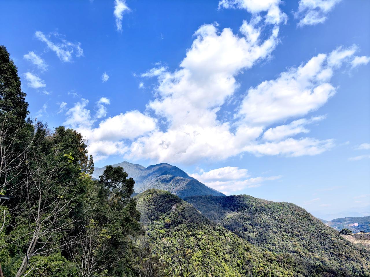 走进观鸟第一村！
这是我第六次来到保山百花岭。
为了观鸟拍鸟，再次走进这个被誉为