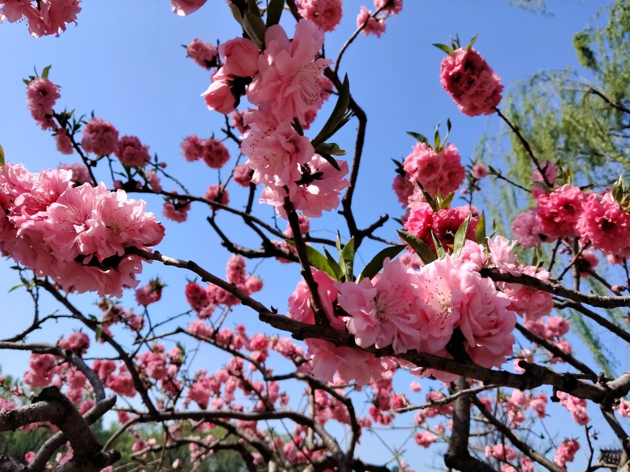 不得不说现在的家长真是操心太多了！

天津赖老师所带班级为初中班，且不论家长找老