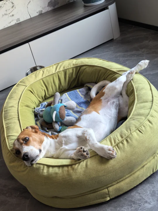 有点厉害的pose