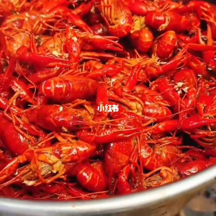 今天有虾🦐