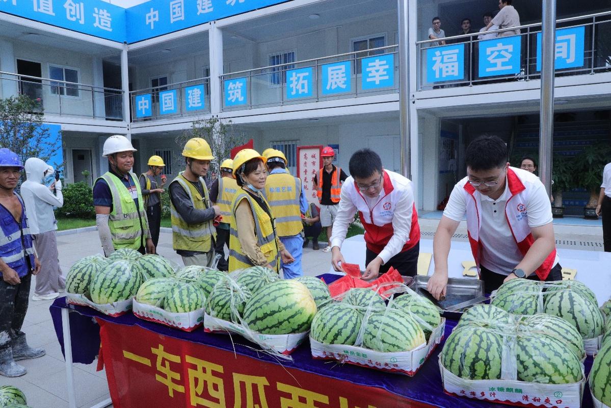 河南多地西瓜集中上市遇低价，地头收购价每斤0.1—0.3元，部分瓜农面临亏损。