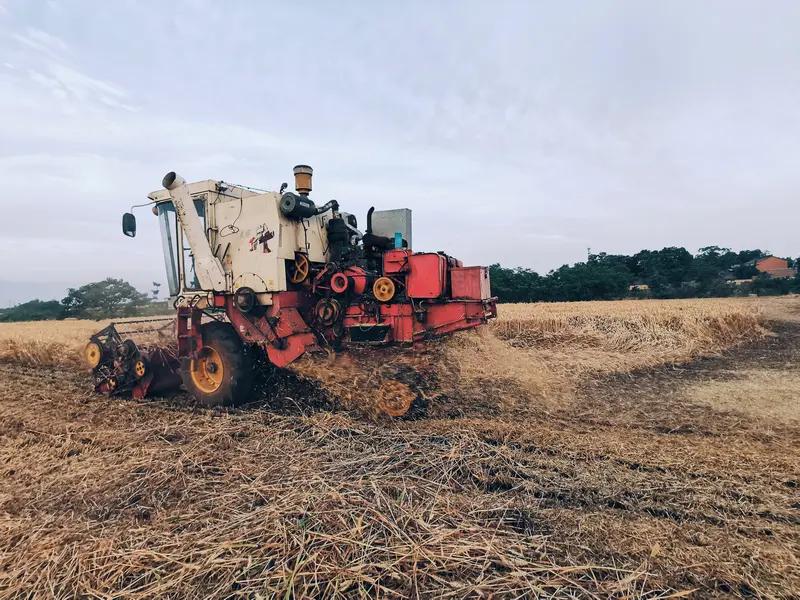 一年又要过去了，这一年我收获还挺多。知识上，我参加线上课程学习新技能，读了十几本