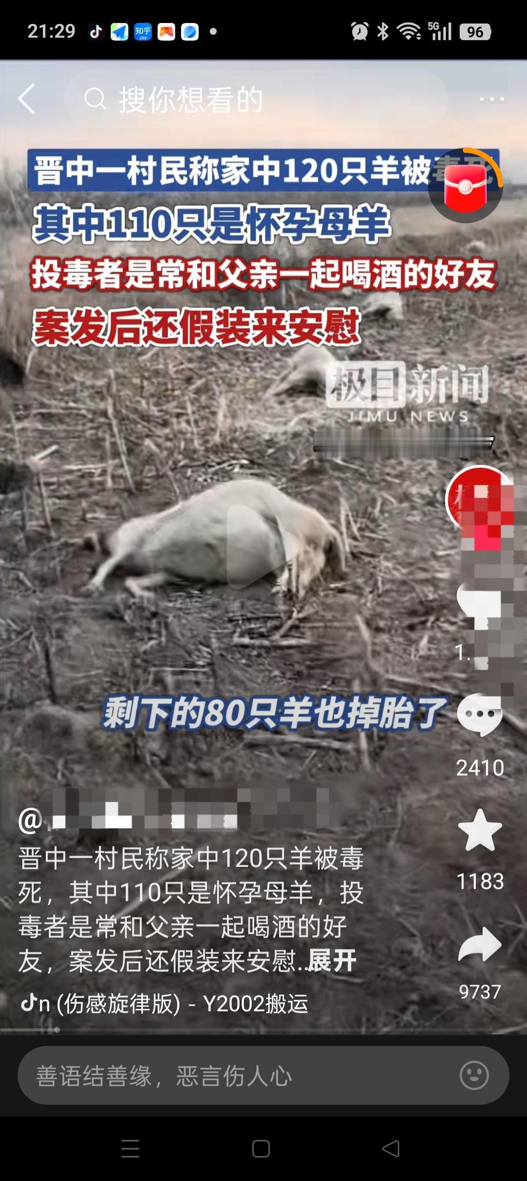 “这人得多坏啊”，山西晋中，一村民家120只羊被毒死，110只还是怀孕的母羊，损