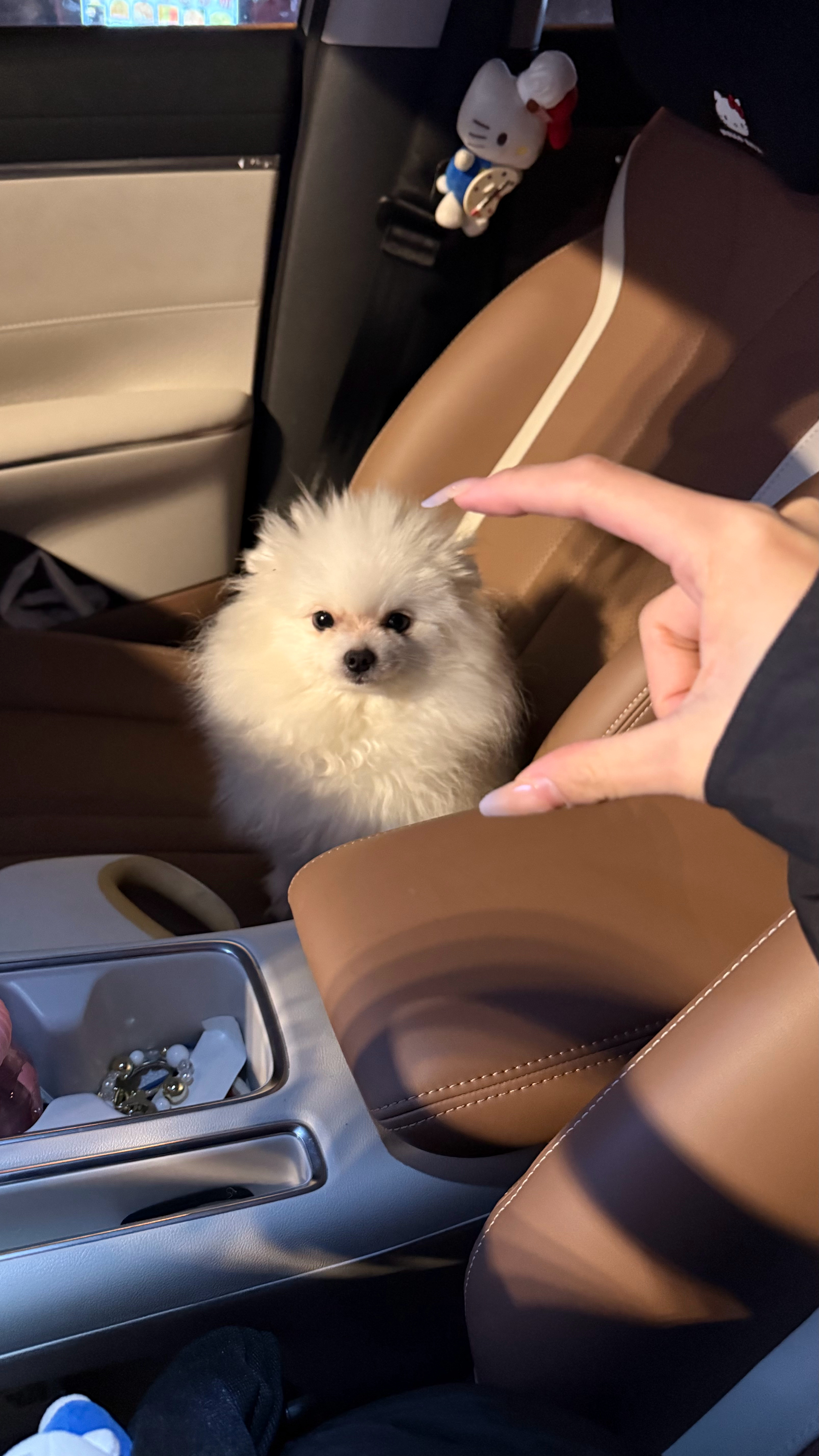 是的！日常就是如此无聊🥹 