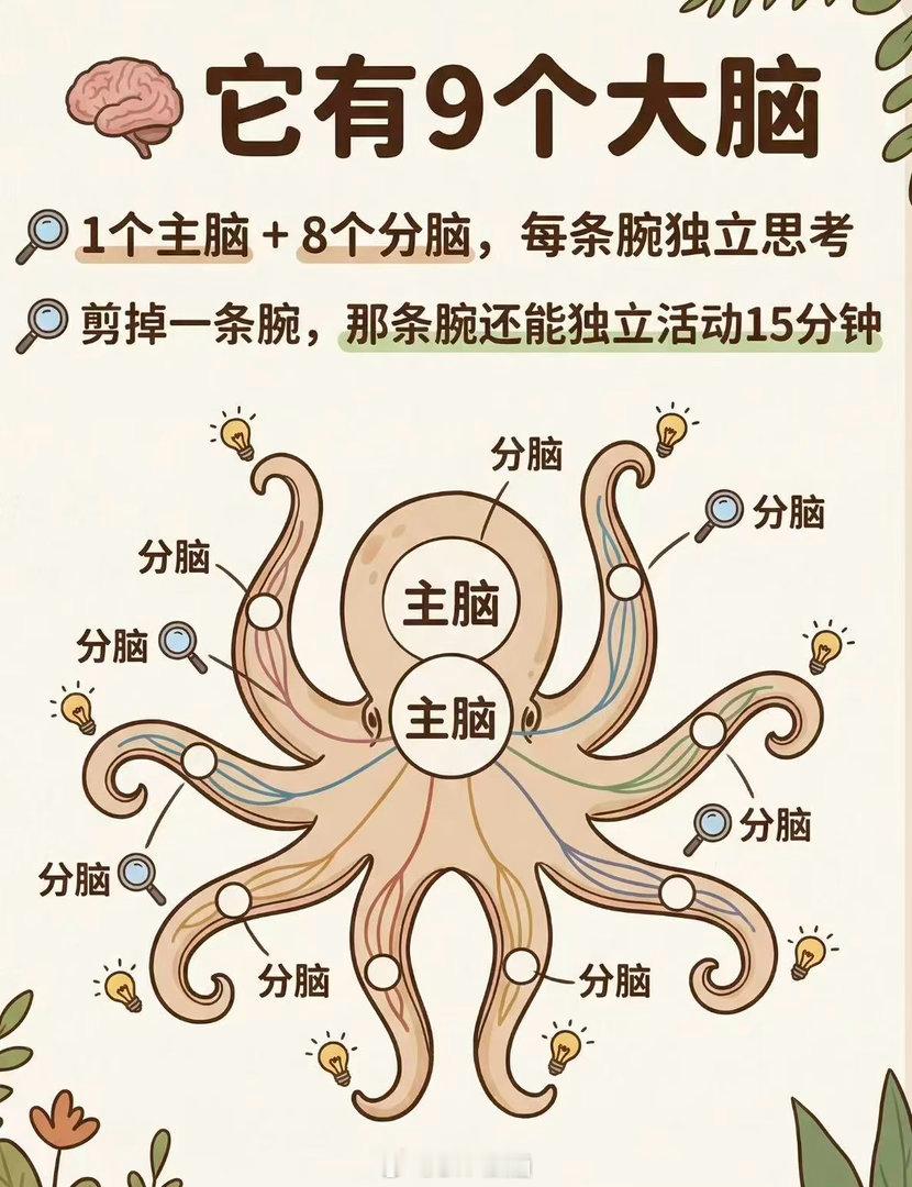 章鱼有“9个大脑”、3颗心脏和蓝色血液。章鱼全身约有5亿个神经元，其中只有1/3