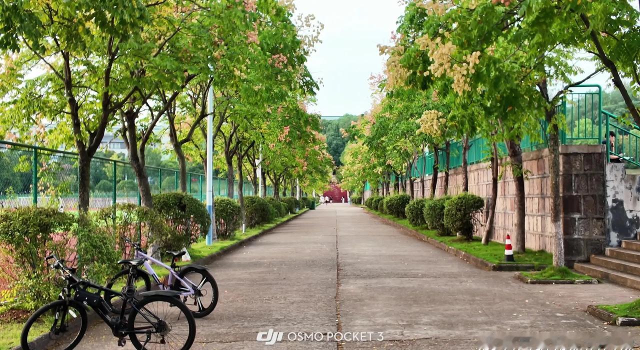 揭牌首日，蓝天白云下的安职大来了！安徽职业技术大学的学校风景来啦！