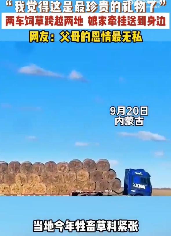 “泪目了！”内蒙古，女孩从兴安盟远嫁锡盟阿巴嘎旗，由于今年雨水不多，女孩那里的草