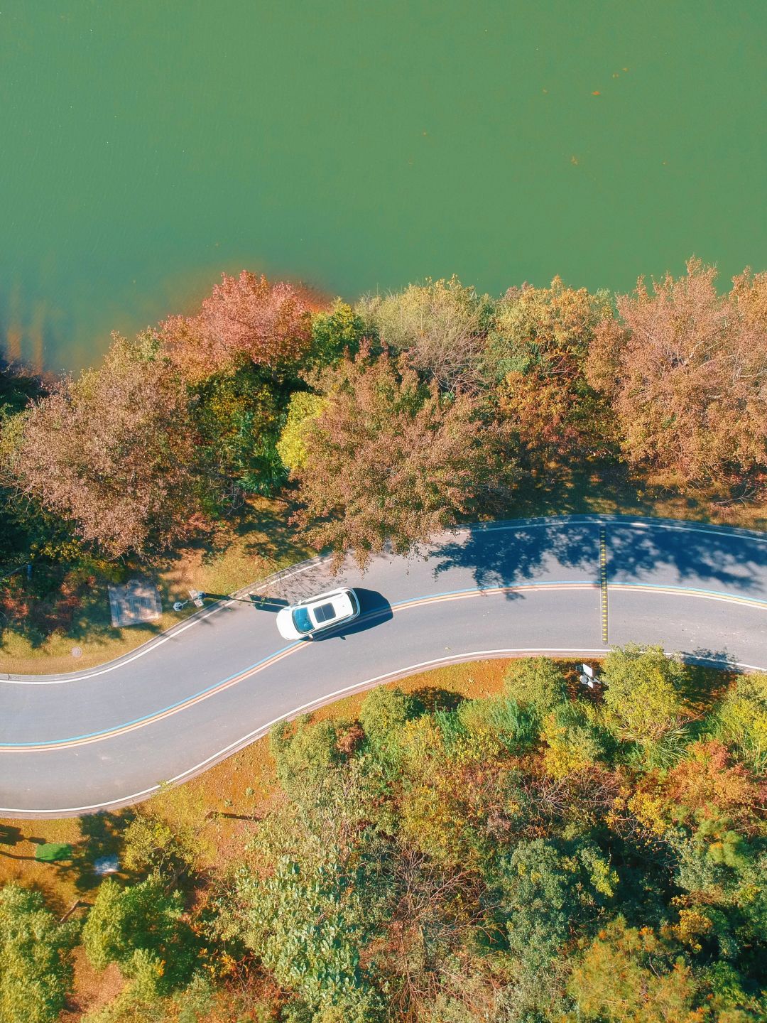 杭州1小时🚗99%的人都不知道的免费赏秋地️