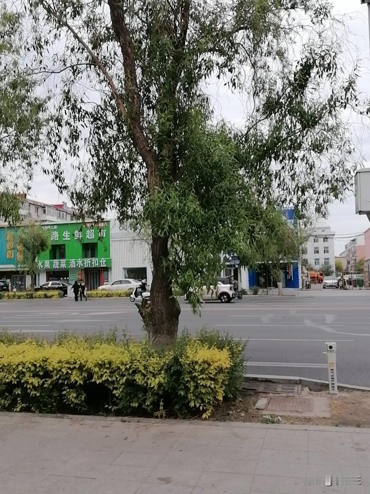 刚才我做了一件事，有点伤人。

我这次上街要办两件事儿，一件事是看电影。一件事是