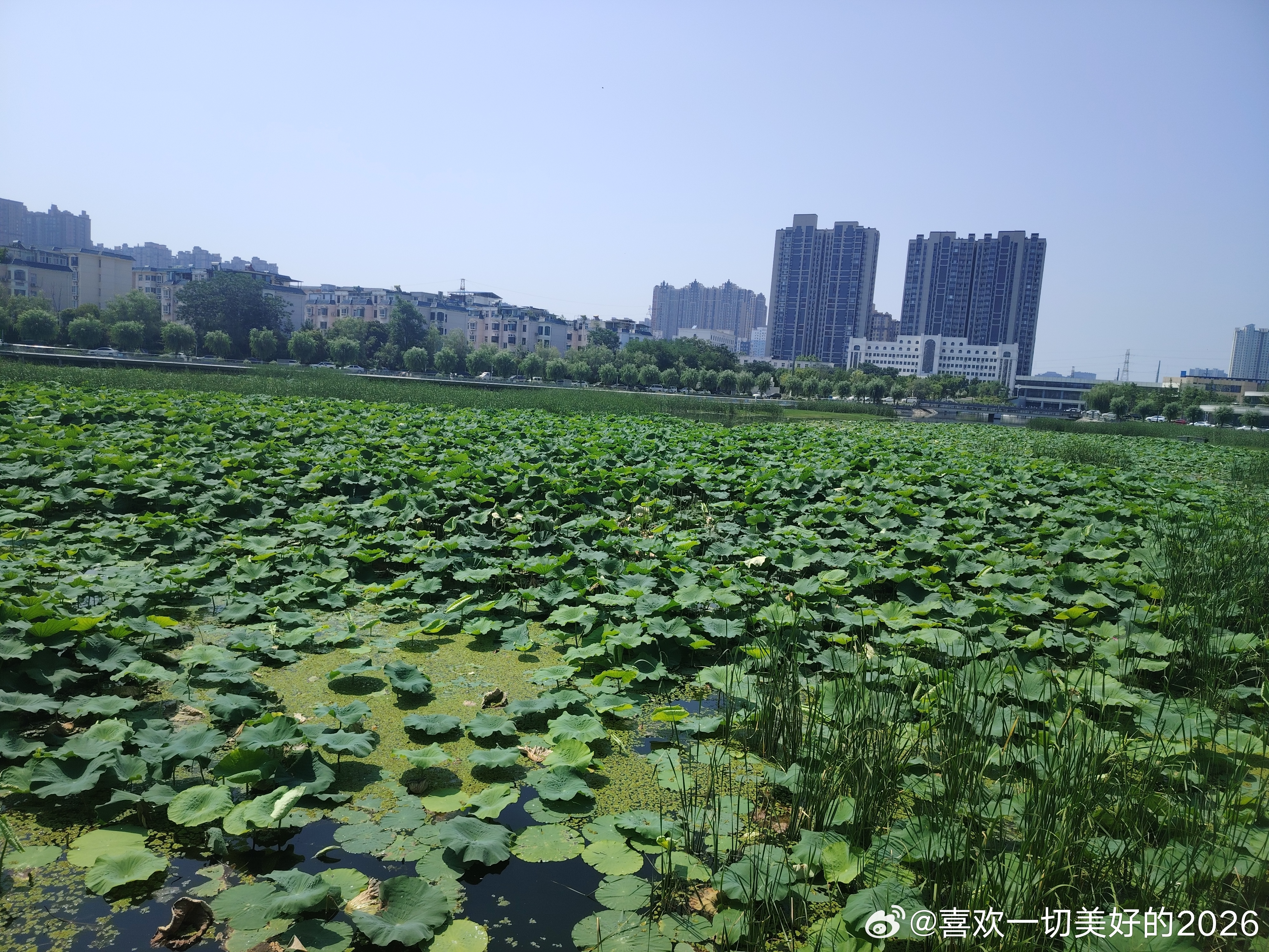 跑河八公里 