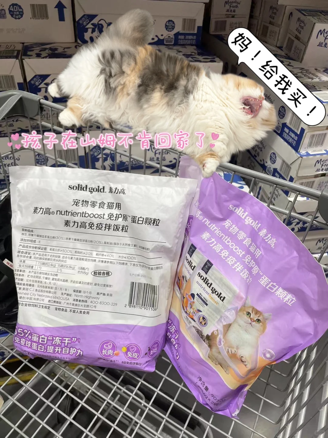 去趟山姆孩子差点疯了……