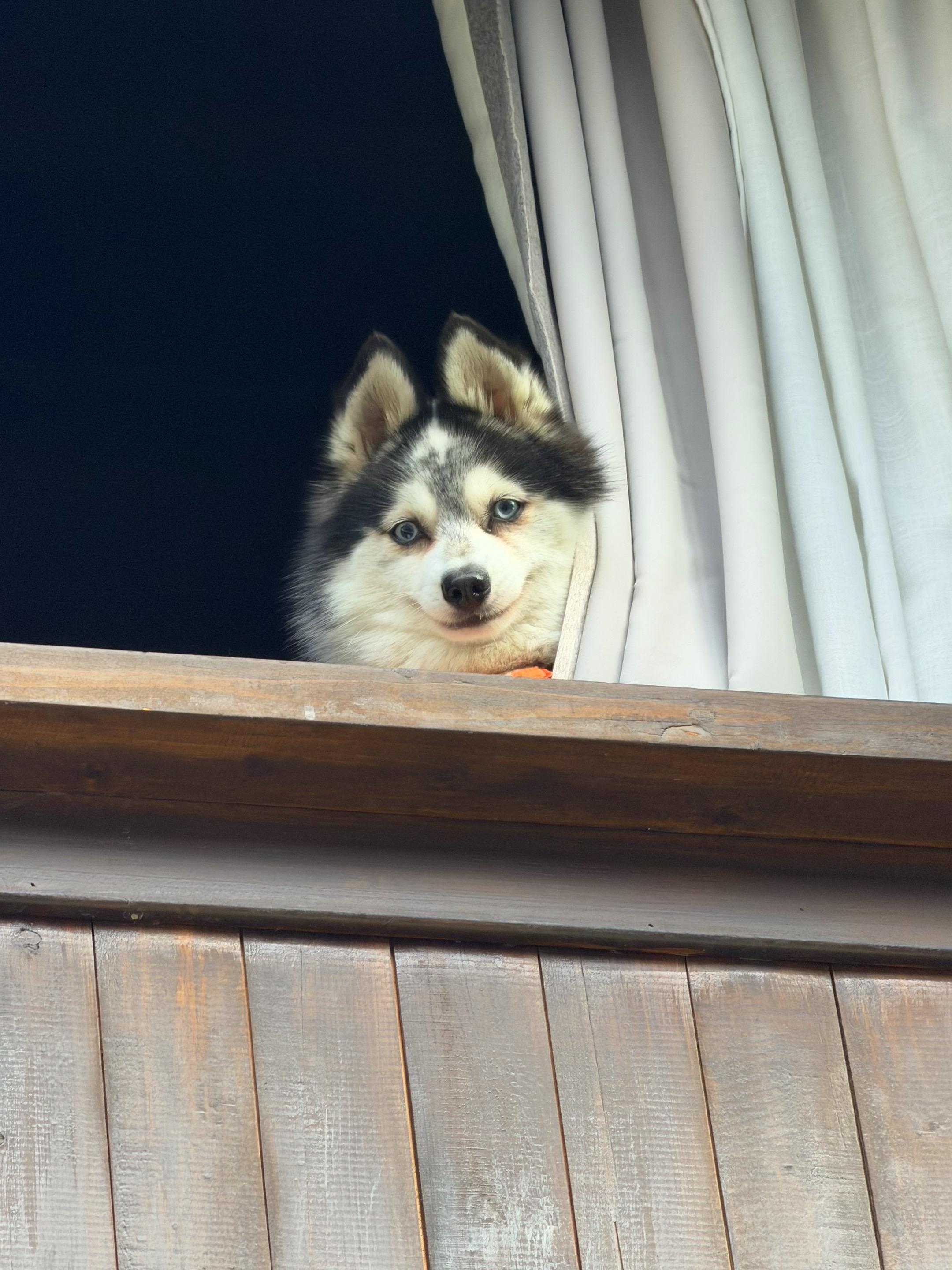 告诉我喜欢哪个小可爱？