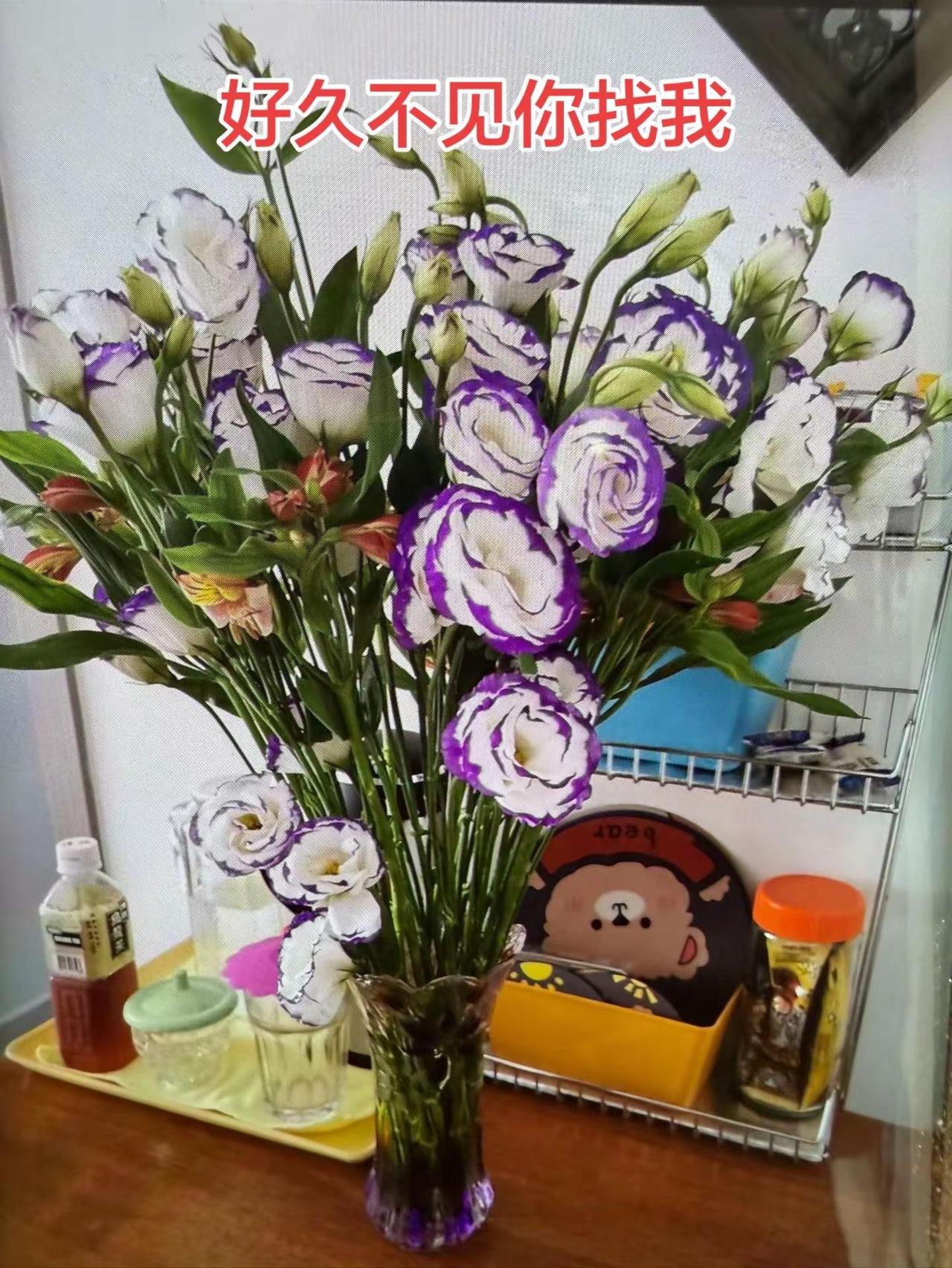好久不见你找我 家居花瓶插花