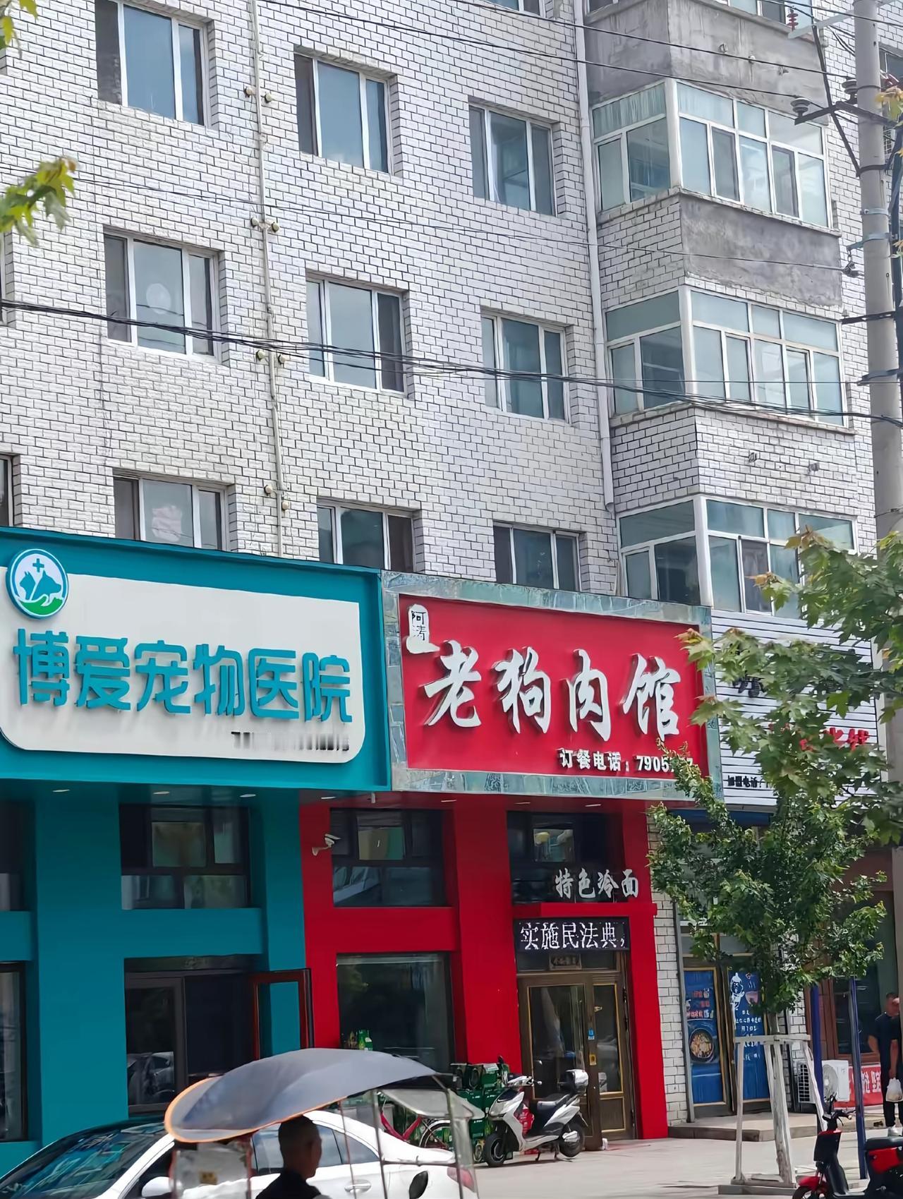 一边是救死扶伤的宠物医院，一边是让人流连忘返，口水直流的狗肉馆，换做是你该如何选