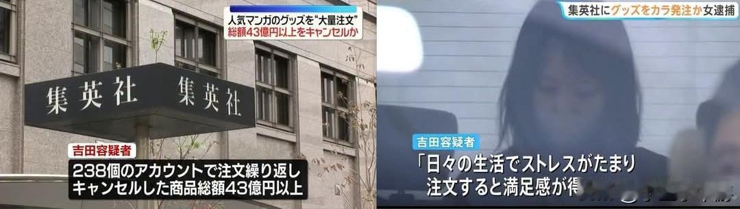 离谱案件！日本女子恶意下单43亿日元动漫周边，只为解压获得快感遭逮捕
据日本媒体