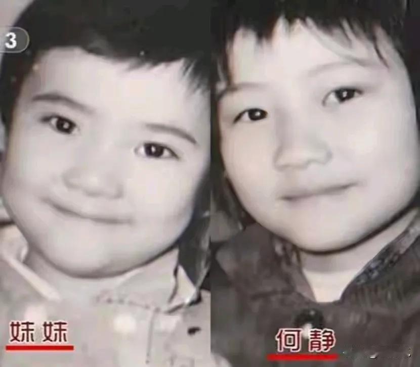 何静女儿小时候和她长得还是有点像的，可长大了就不像她了。何静的女儿还是幸运的，没